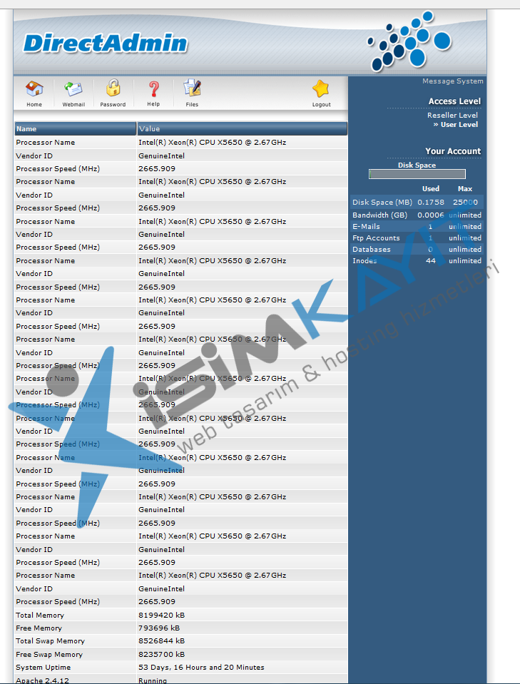 Directadmin bayi hosting hesabı üzerinden sistem inceleme