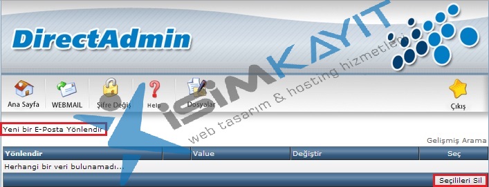 Directadmin E-posta yönlendirme