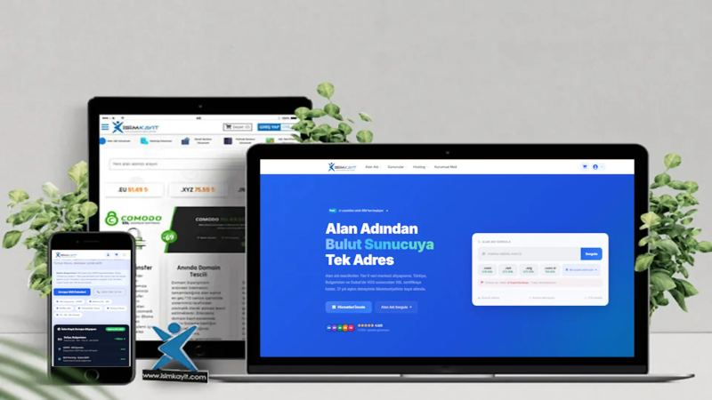 Web Tasarımı Nedir?