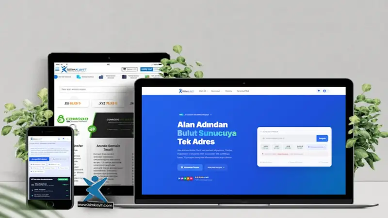 Web Tasarımı Nedir?