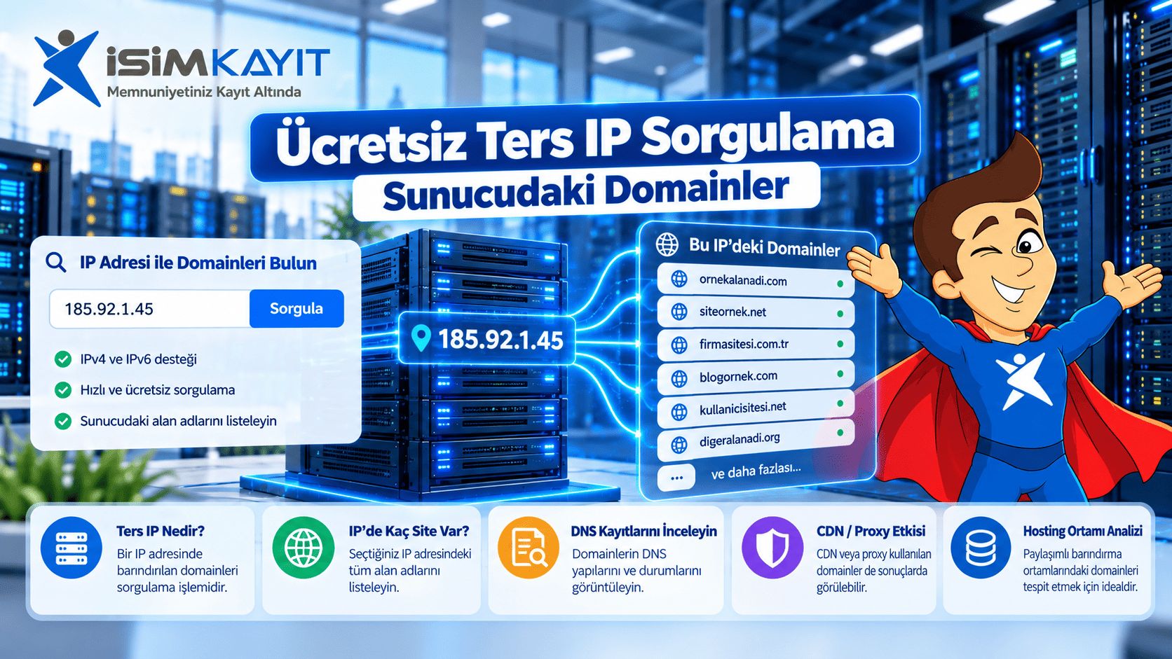 Ücretsiz Ters IP Sorgulama: Sunucudaki Domainler