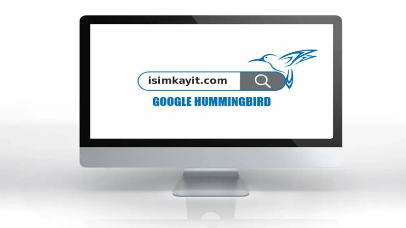 Google Algoritmaları yazı dizisi 3