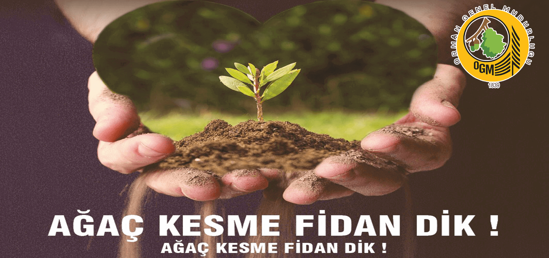 Fidan dikimi sosyal sorumluluk