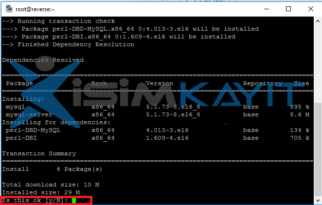 mysql kurulumu