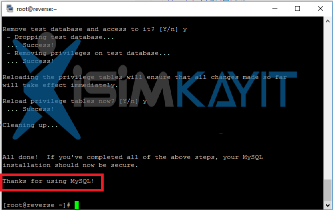 mysql kurulumu