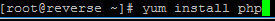 php kurulumu