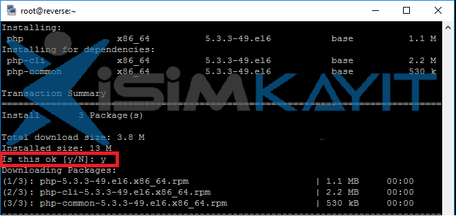 php kurulumu