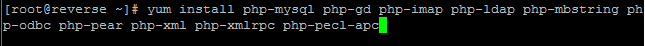 php mysql