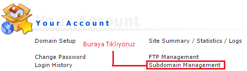 DirectAdmin Subdomain Yönetimi