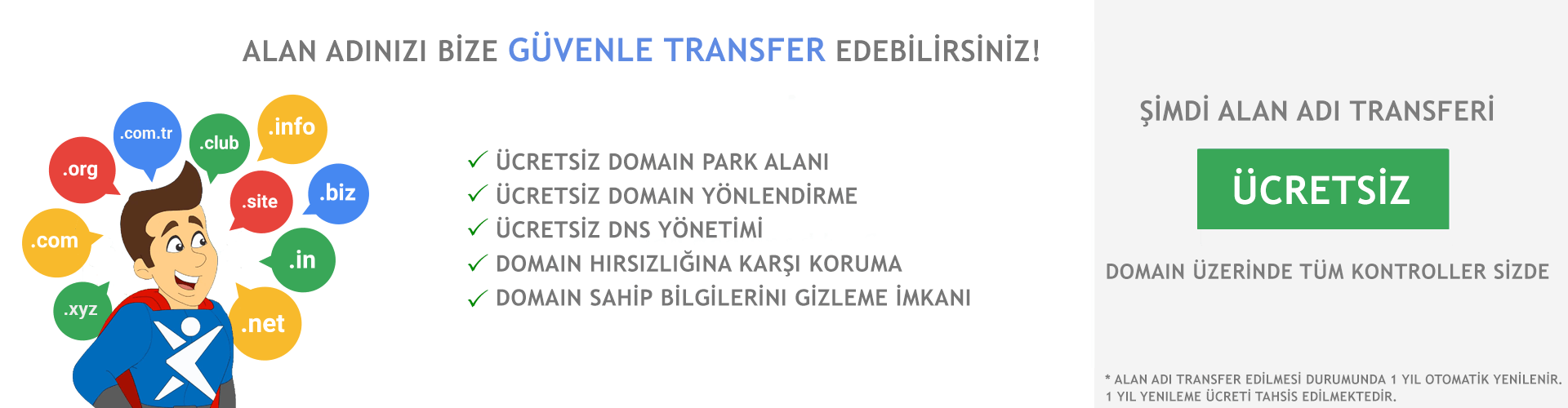 Domain Transferi