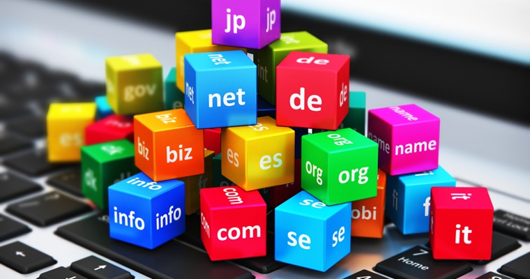 domain nasıl sorgulanır