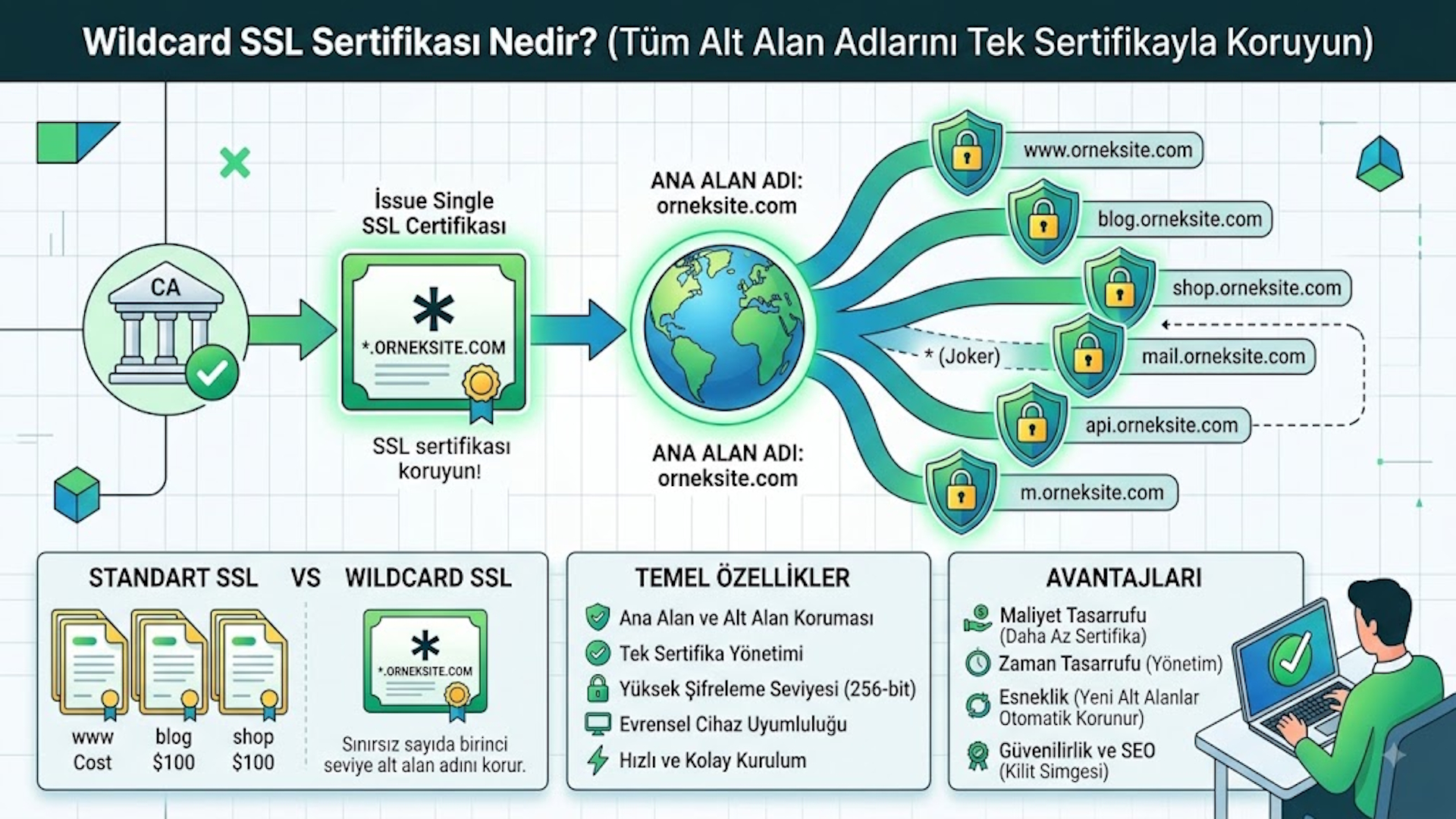Wildcard Positive SSL Sertifikası Nedir?