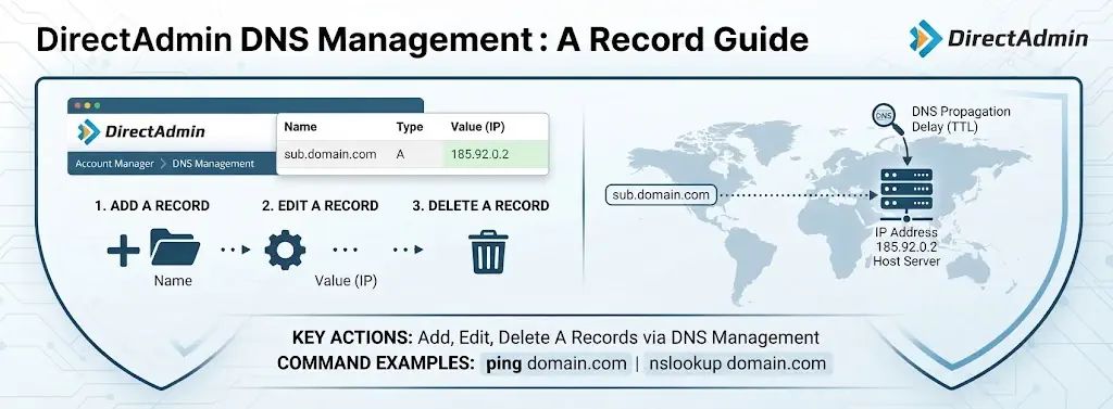 DirectAdmin A Recordu Ekleme
